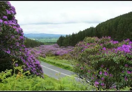 Vee Village House * Clogheen